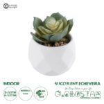 GloboStar® Artificial Garden SUCCULENT ECHEVERIA 20980 Διακοσμητικό Φυτό Παχύφυτο Εχεβέρια Υ7.5cm