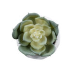 GloboStar® Artificial Garden SUCCULENT ECHEVERIA 20980 Διακοσμητικό Φυτό Παχύφυτο Εχεβέρια Υ7.5cm - Image 3