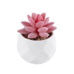 GloboStar® Artificial Garden SUCCULENT SEDEVERIA 20981 Διακοσμητικό Φυτό Παχύφυτο Σεντεβέρια Υ8cm - Image 2