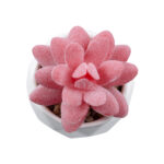 GloboStar® Artificial Garden SUCCULENT SEDEVERIA 20981 Διακοσμητικό Φυτό Παχύφυτο Σεντεβέρια Υ8cm - Image 3