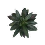 GloboStar® Artificial Garden SUCCULENT ALOE POTTED PLANT 20983 Διακοσμητικό Φυτό Αλόης Φ9 x Υ12cm - Image 3