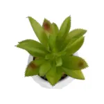 GloboStar® Artificial Garden SUCCULENT ALOE POTTED PLANT 20984 Διακοσμητικό Φυτό Αλόη Φ9 x Υ12cm - Image 3
