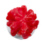 GloboStar® Artificial Garden SUCCULENT CRASSULA 20985 Διακοσμητικό Φυτό Παχύφυτο Κράσουλα Υ10cm - Image 3