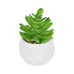 GloboStar® Artificial Garden SUCCULENT CRASSULA POTTED PLANT 20986 Διακοσμητικό Φυτό Κρασούλα Φ6 x Υ10cm - Image 2