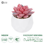 GloboStar® Artificial Garden SUCCULENT SEDEVERIA POTTED PLANT 20989 Διακοσμητικό Φυτό Σεδεβέρια Φ6,5 x Υ8cm
