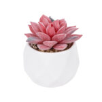 GloboStar® Artificial Garden SUCCULENT SEDEVERIA POTTED PLANT 20989 Διακοσμητικό Φυτό Σεδεβέρια Φ6,5 x Υ8cm - Image 2