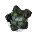GloboStar® Artificial Garden SUCCULENT ECHEVERIA 20990 Διακοσμητικό Φυτό Παχύφυτο Εχεβέρια Υ8.5cm - Image 3