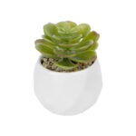GloboStar® Artificial Garden SUCCULENT ECHEVERIA POTTED PLANT 20991 Διακοσμητικό Φυτό Εχεβέρια Φ6 x Υ8,5cm - Image 2