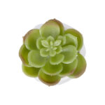 GloboStar® Artificial Garden SUCCULENT ECHEVERIA POTTED PLANT 20991 Διακοσμητικό Φυτό Εχεβέρια Φ6 x Υ8,5cm - Image 3