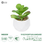 GloboStar® Artificial Garden SUCCULENT KALANCHOE POTTED PLANT 20995 Διακοσμητικό Φυτό Καλαχόη  Φ8 x Υ10cm