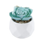 GloboStar® Artificial Garden SUCCULENT ECHEVERIA 20996 Διακοσμητικό Φυτό Παχύφυτο Εχεβέρια Υ7cm - Image 2