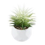 GloboStar® Artificial Garden SUCCULENT SENECIO 20997 Διακοσμητικό Φυτό Παχύφυτο Σενέκιο Υ12cm - Image 2