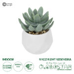 GloboStar® Artificial Garden SUCCULENT SEDEVERIA POTTED PLANT 20998 Διακοσμητικό Φυτό Σεδεβέρια  Φ7 x Υ9cm
