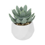 GloboStar® Artificial Garden SUCCULENT SEDEVERIA POTTED PLANT 20998 Διακοσμητικό Φυτό Σεδεβέρια  Φ7 x Υ9cm - Image 2