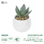 GloboStar® Artificial Garden SUCCULENT ALOE POTTED PLANT 20999 Διακοσμητικό Φυτό Αλόη  Φ7 x Υ9cm
