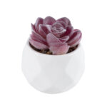GloboStar® Artificial Garden SUCCULENT ECHEVERIA 21000 Διακοσμητικό Φυτό Παχύφυτο Εχεβέρια Υ7.5cm - Image 2