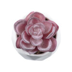 GloboStar® Artificial Garden SUCCULENT ECHEVERIA 21000 Διακοσμητικό Φυτό Παχύφυτο Εχεβέρια Υ7.5cm - Image 3