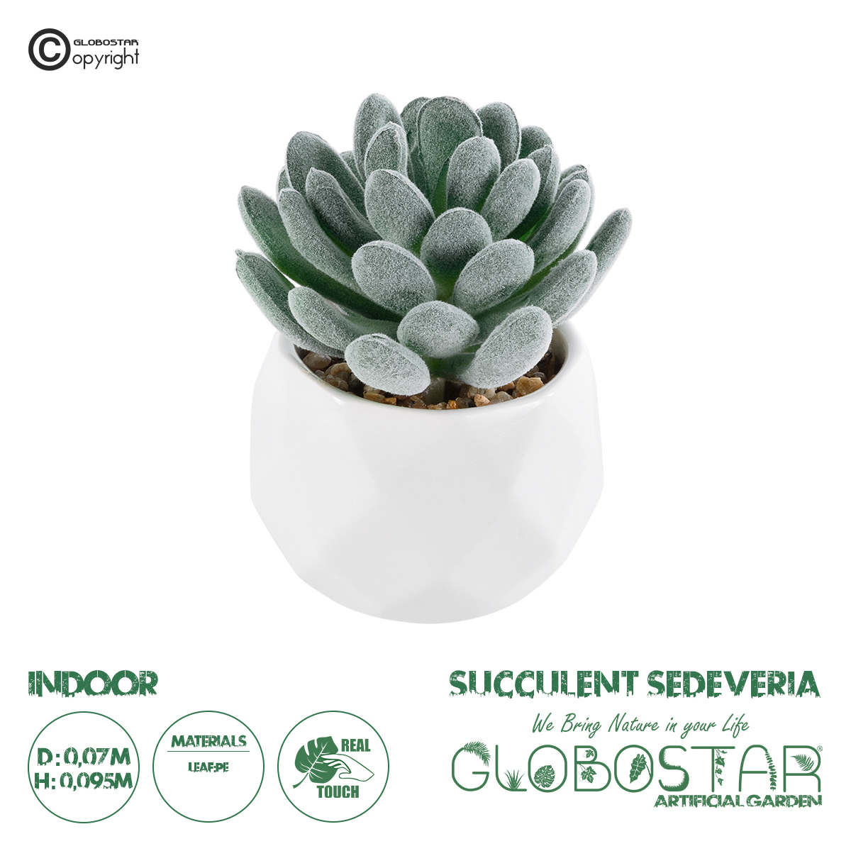 21001_1 GloboStar® Artificial Garden SUCCULENT SEDEVERIA 21001 Διακοσμητικό Φυτό Παχύφυτο Σεντεβέρια Υ9.5cm - Image 1