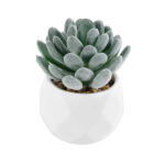 GloboStar® Artificial Garden SUCCULENT SEDEVERIA 21001 Διακοσμητικό Φυτό Παχύφυτο Σεντεβέρια Υ9.5cm - Image 2