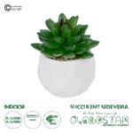 GloboStar® Artificial Garden SUCCULENT SEDEVERIA POTTED PLANT 21002 Διακοσμητικό Φυτό Σεδεβέρια  Φ8 x Υ9cm