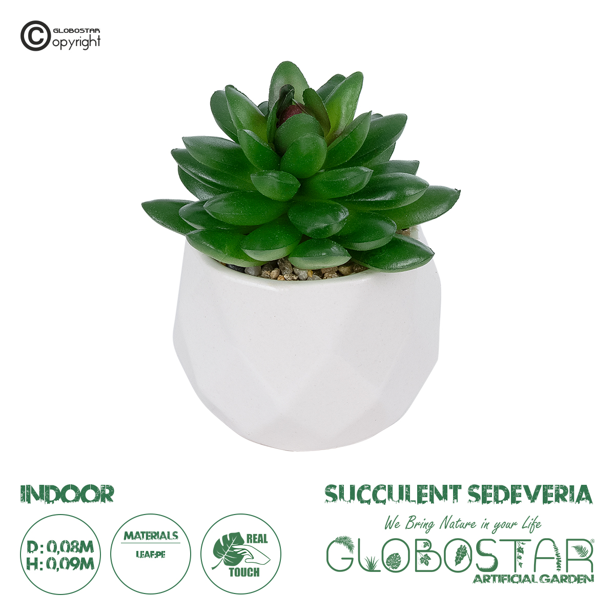 21002_1 GloboStar® Artificial Garden SUCCULENT SEDEVERIA POTTED PLANT 21002 Διακοσμητικό Φυτό Σεδεβέρια Φ8 x Υ9cm - Image 1