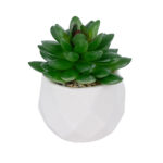GloboStar® Artificial Garden SUCCULENT SEDEVERIA POTTED PLANT 21002 Διακοσμητικό Φυτό Σεδεβέρια  Φ8 x Υ9cm - Image 2