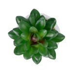 GloboStar® Artificial Garden SUCCULENT SEDEVERIA POTTED PLANT 21002 Διακοσμητικό Φυτό Σεδεβέρια  Φ8 x Υ9cm - Image 3