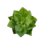 GloboStar® Artificial Garden SUCCULENT ECHEVERIA 21003 Διακοσμητικό Φυτό Παχύφυτο Εχεβέρια Υ8cm - Image 3