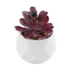 GloboStar® Artificial Garden SUCCULENT CRASSULA 21004 Διακοσμητικό Φυτό Παχύφυτο Κράσουλα Υ9.5cm - Image 2