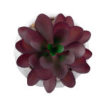 GloboStar® Artificial Garden SUCCULENT CRASSULA 21004 Διακοσμητικό Φυτό Παχύφυτο Κράσουλα Υ9.5cm - Image 3