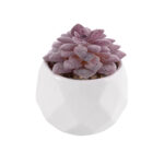 GloboStar® Artificial Garden SUCCULENT SEDEVERIA 21005 Διακοσμητικό Φυτό Παχύφυτο Σεντεβέρια Υ8cm - Image 2