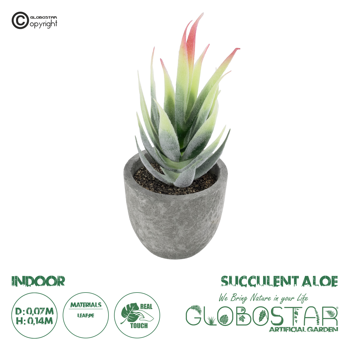 21009_1 GloboStar® Artificial Garden SUCCULENT ALOE 21009 Διακοσμητικό Φυτό Παχύφυτο Αλόη Υ14cm - Image 1