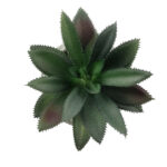 GloboStar® Artificial Garden SUCCULENT ALOE 21011 Διακοσμητικό Φυτό Παχύφυτο Αλόη Υ13cm - Image 3