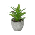 GloboStar® Artificial Garden SUCCULENT ALOE POTTED PLANT 21012 Διακοσμητικό Φυτό Αλόη  Φ9 x Υ13cm - Image 2