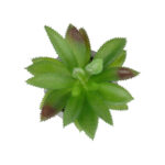 GloboStar® Artificial Garden SUCCULENT ALOE POTTED PLANT 21012 Διακοσμητικό Φυτό Αλόη  Φ9 x Υ13cm - Image 3