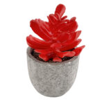 GloboStar® Artificial Garden SUCCULENT CRASSULA 21013 Διακοσμητικό Φυτό Παχύφυτο Κράσουλα Υ11.5cm - Image 2