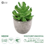 GloboStar® Artificial Garden SUCCULENT CRASSULA 21014 Διακοσμητικό Φυτό Παχύφυτο Κράσουλα Υ11.5cm