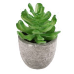 GloboStar® Artificial Garden SUCCULENT CRASSULA 21014 Διακοσμητικό Φυτό Παχύφυτο Κράσουλα Υ11.5cm - Image 2