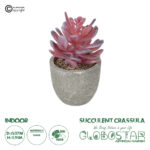 GloboStar® Artificial Garden SUCCULENT CRASSULA POTTED PLANT 21015 Διακοσμητικό Φυτό Κρασούλα  Φ7 x Υ11,5cm