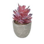 GloboStar® Artificial Garden SUCCULENT CRASSULA POTTED PLANT 21015 Διακοσμητικό Φυτό Κρασούλα  Φ7 x Υ11,5cm - Image 2