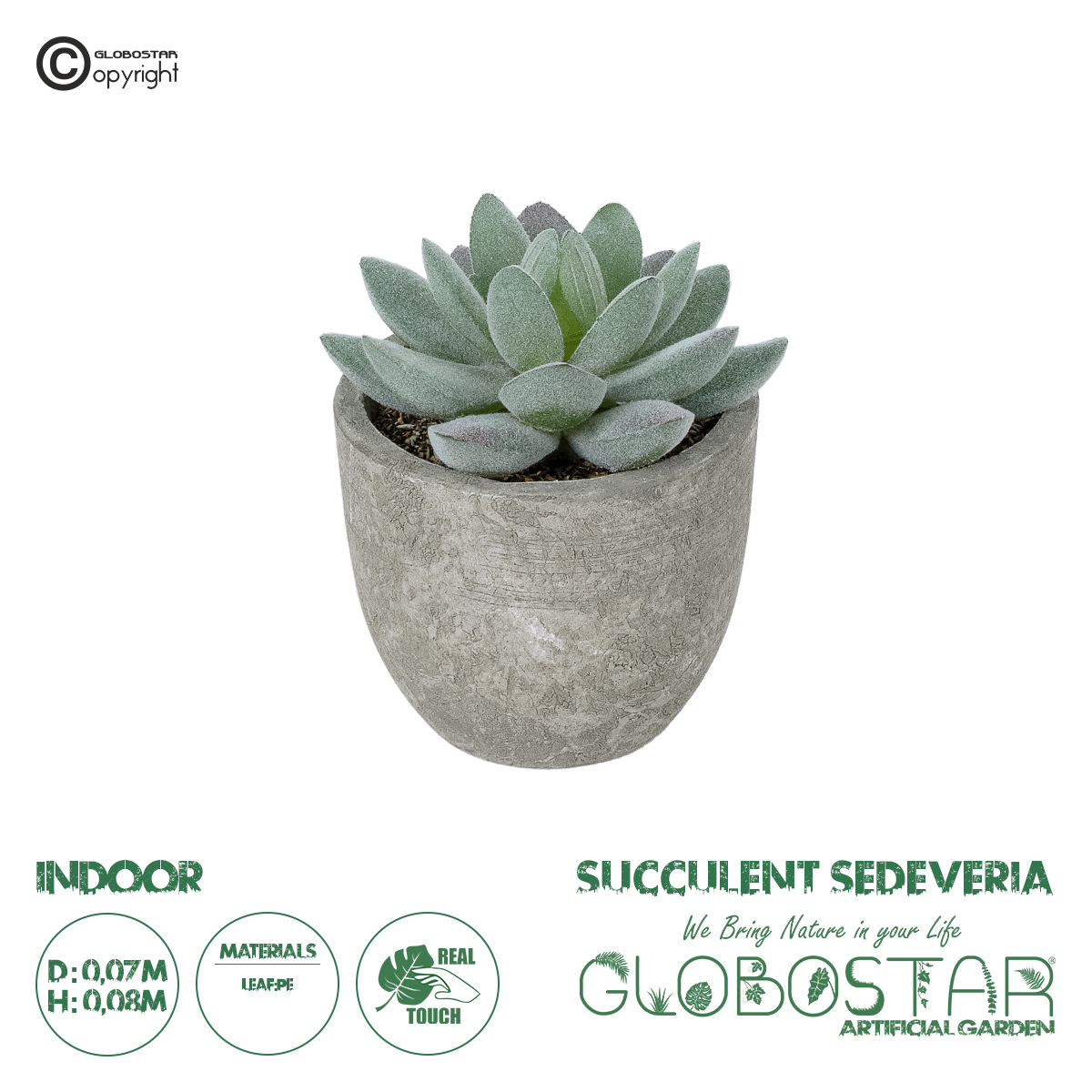 21016_1 GloboStar® Artificial Garden SUCCULENT SEDEVERIA POTTED PLANT 21016 Διακοσμητικό Φυτό Σεδεβέρια Φ7 x Υ8cm - Image 1