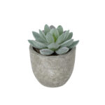 GloboStar® Artificial Garden SUCCULENT SEDEVERIA POTTED PLANT 21016 Διακοσμητικό Φυτό Σεδεβέρια  Φ7 x Υ8cm - Image 2