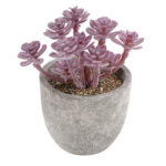 GloboStar® Artificial Garden SUCCULENT SEDUM 21017 Διακοσμητικό Φυτό Παχύφυτο Σέδο Υ10cm - Image 2