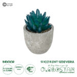 GloboStar® Artificial Garden SUCCULENT SEDEVERIA POTTED PLANT 21018 Διακοσμητικό Φυτό Σεδεβέρια  Φ6,5 x Υ9cm