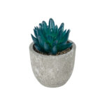 GloboStar® Artificial Garden SUCCULENT SEDEVERIA POTTED PLANT 21018 Διακοσμητικό Φυτό Σεδεβέρια  Φ6,5 x Υ9cm - Image 2