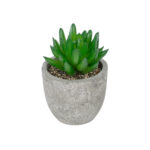 GloboStar® Artificial Garden SUCCULENT SEDEVERIA POTTED PLANT 21019 Διακοσμητικό Φυτό Σεδεβέρια  Φ6,5 x Υ9cm - Image 2