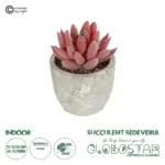 GloboStar® Artificial Garden SUCCULENT SEDEVERIA 21020 Τεχνητό Διακοσμητικό Φυτό Σεδεβέρια Μ6.5 x Π6.5 x Υ9cm