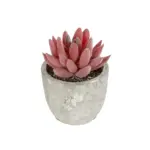 GloboStar® Artificial Garden SUCCULENT SEDEVERIA 21020 Τεχνητό Διακοσμητικό Φυτό Σεδεβέρια Μ6.5 x Π6.5 x Υ9cm - Image 2