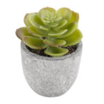 GloboStar® Artificial Garden SUCCULENT SEDEVERIA 21021 Διακοσμητικό Φυτό Παχύφυτο Σεντεβέρια Υ8.5cm - Image 2