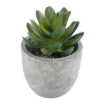 GloboStar® Artificial Garden SUCCULENT SEDEVERIA 21023 Διακοσμητικό Φυτό Παχύφυτο Σεντεβέρια Υ10cm - Image 2